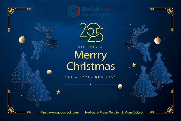 Merry Christmas & Happy New Year 2025